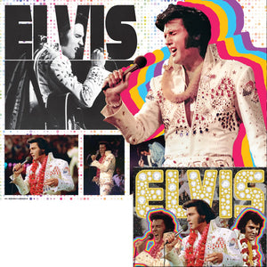 Puzzle Elvis Presley 3D/2D Double-Sided 500pc 24x18"